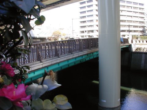 shin_tokiwa bridge